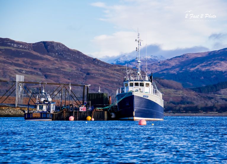 Dunstaffnage  Marina